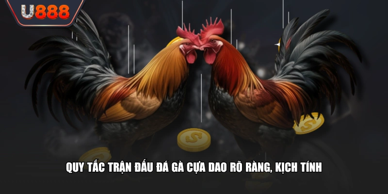 Trận Đấu Đá Gà Cựa Dao Màn So Tài Tốc Độ Kịch Tính 2 Quy tắc trận đấu đá gà cựa dao rõ ràng, kịch tính